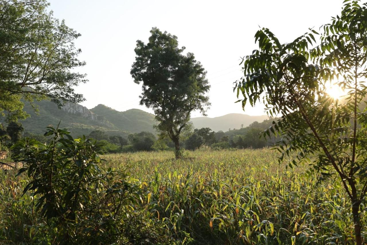 Vache Farm Stay Udaipur Exterior photo